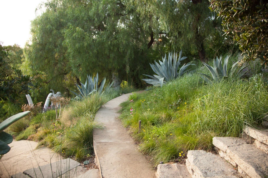 Elysian Park residence by Native By Design Landscapes - Photo 21