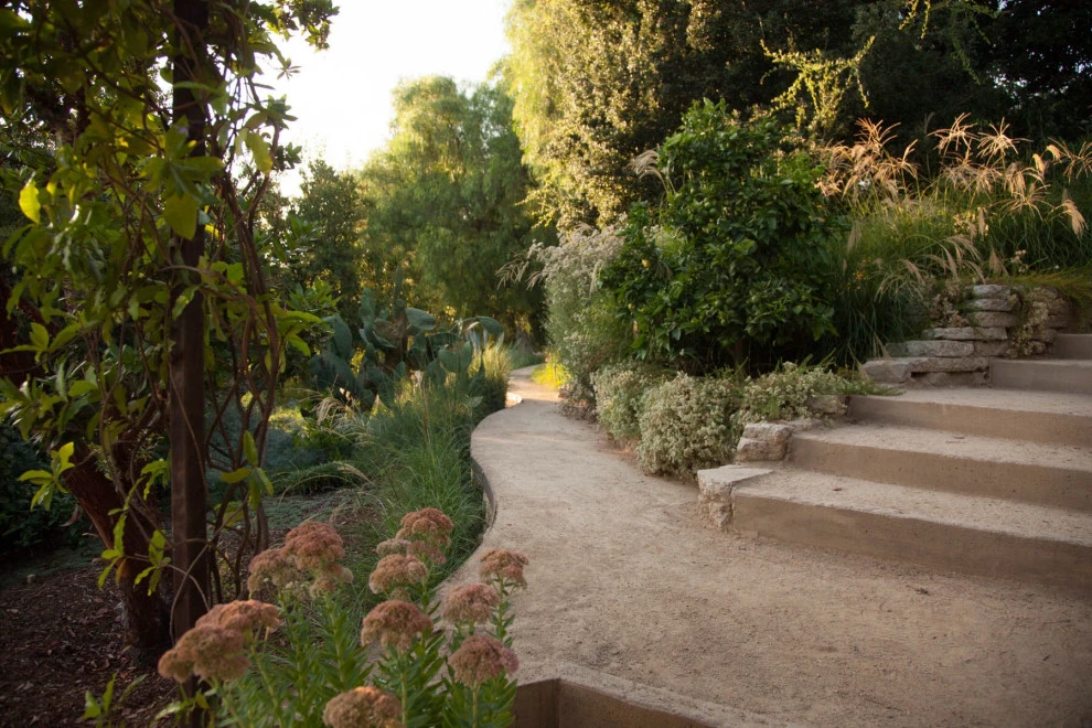 Elysian Park residence by Native By Design Landscapes - Photo 13