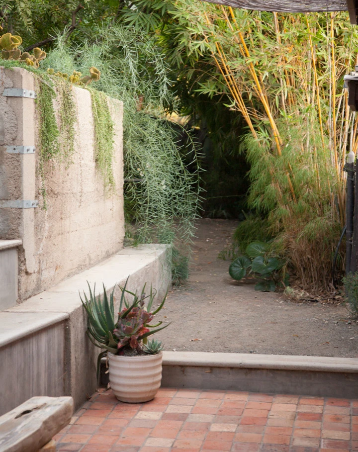 Elysian Park residence by Native By Design Landscapes - Photo 14