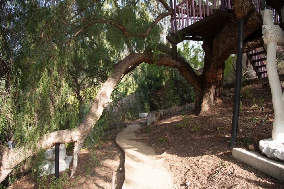 Elysian Park residence by Native By Design Landscapes - Photo 18