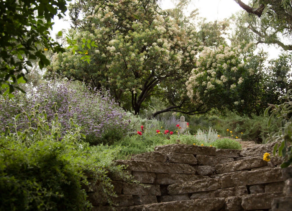 Native By Design Landscapes - Photo 10