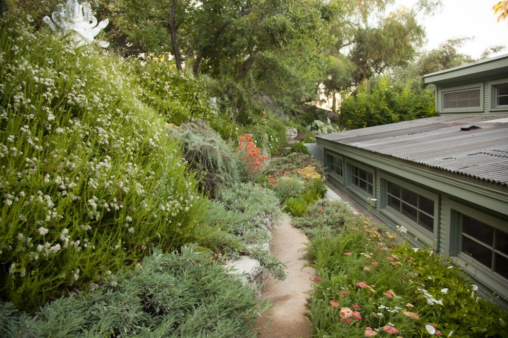 Elysian Park residence by Native By Design Landscapes - Photo 27