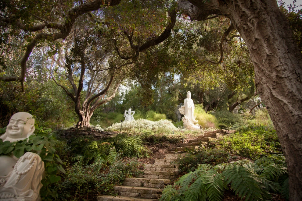 Native By Design Landscapes - Photo 12