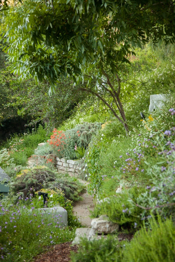 Elysian Park residence by Native By Design Landscapes - Photo 41