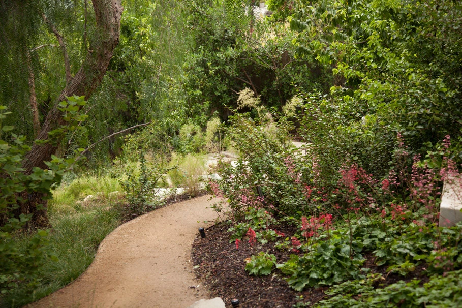 Elysian Park residence by Native By Design Landscapes - Photo 23