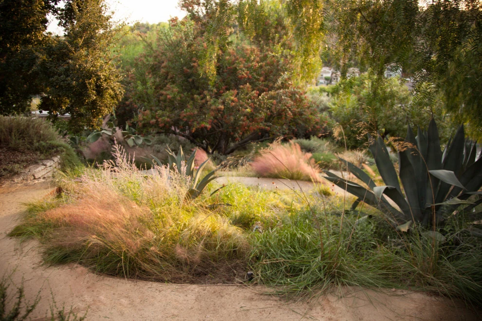 Elysian Park residence by Native By Design Landscapes - Photo 19
