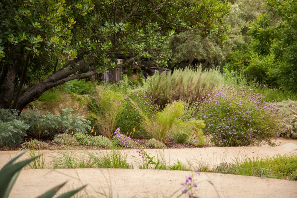 Native By Design Landscapes - Photo 14