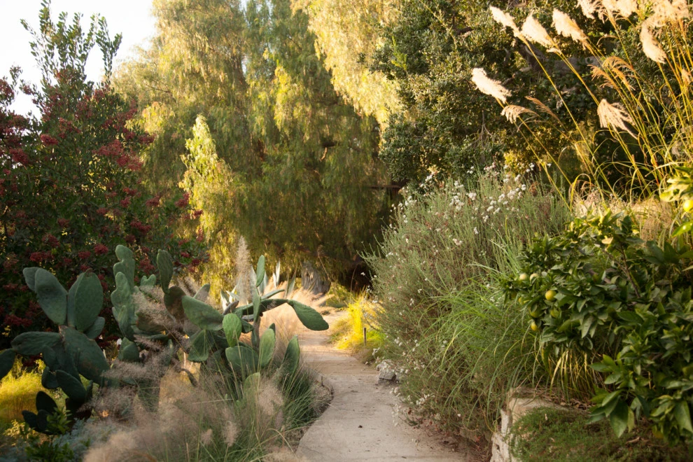 Elysian Park residence by Native By Design Landscapes - Photo 39