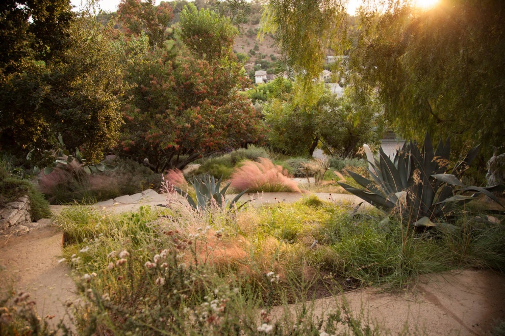 Elysian Park residence by Native By Design Landscapes - Photo 9