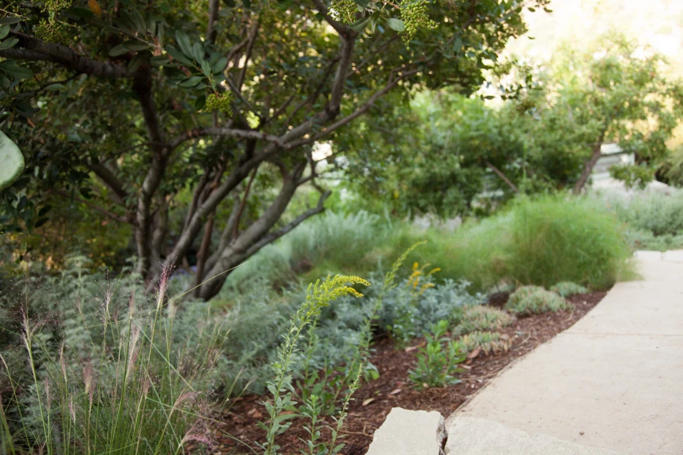 Native By Design Landscapes - Photo 8