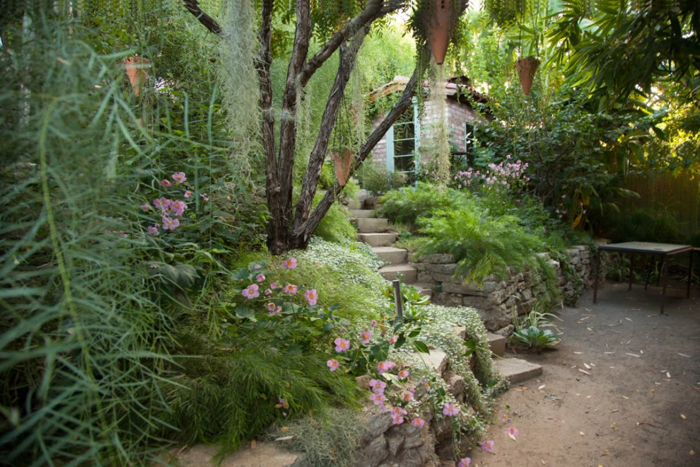 Elysian Park residence by Native By Design Landscapes - Photo 30