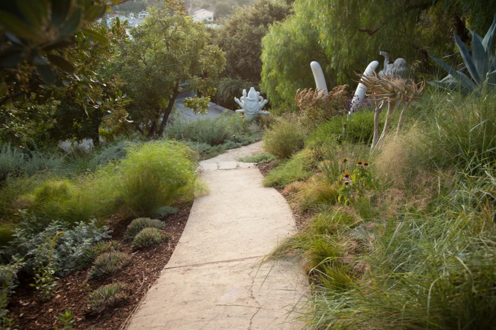 Elysian Park residence by Native By Design Landscapes - Photo 12