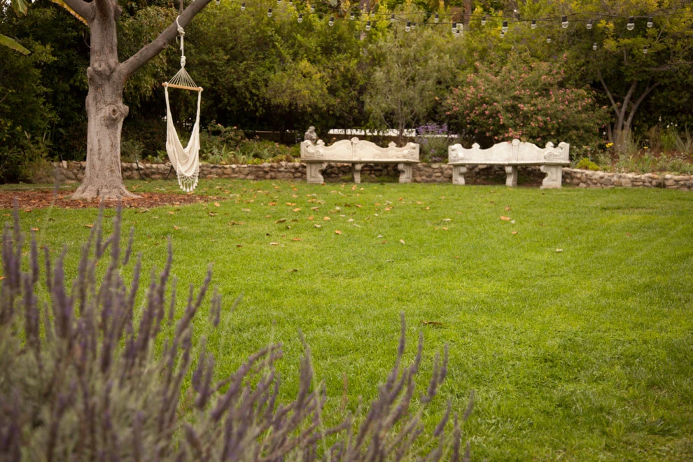 Waverly residence by Native By Design Landscapes - Photo 5