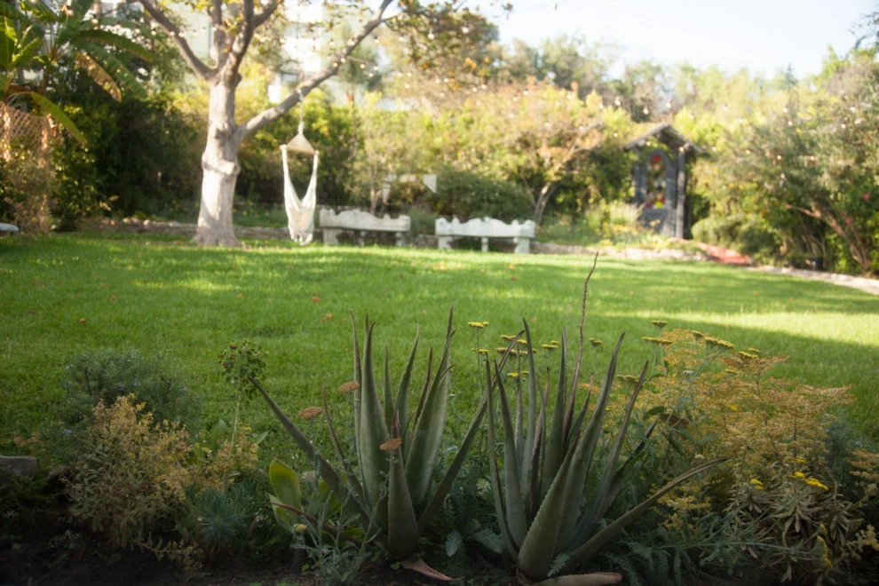 Waverly residence by Native By Design Landscapes - Photo 6