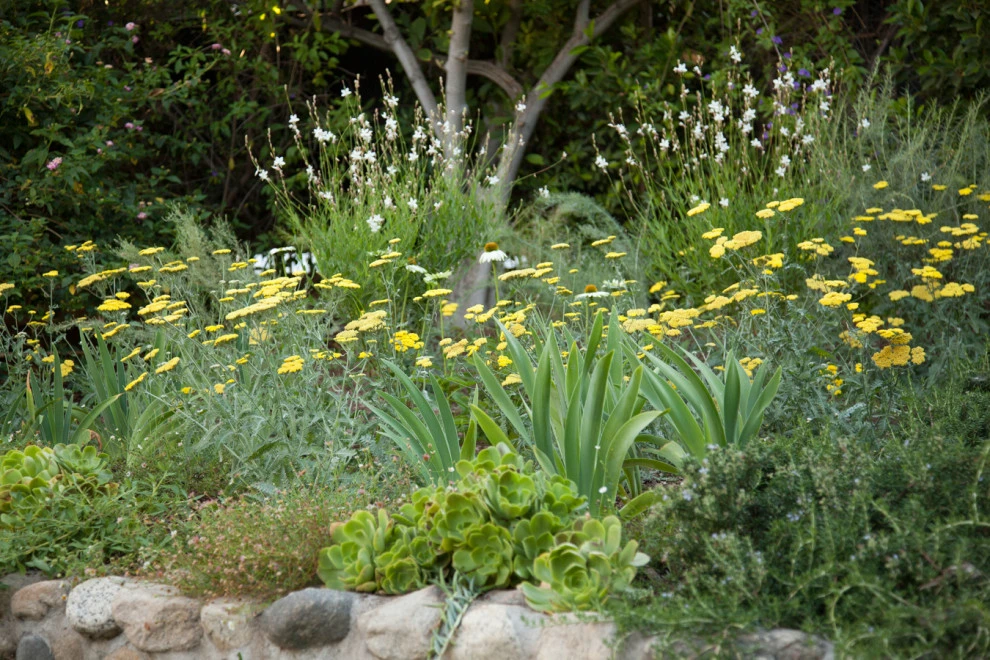 Waverly residence by Native By Design Landscapes - Photo 8