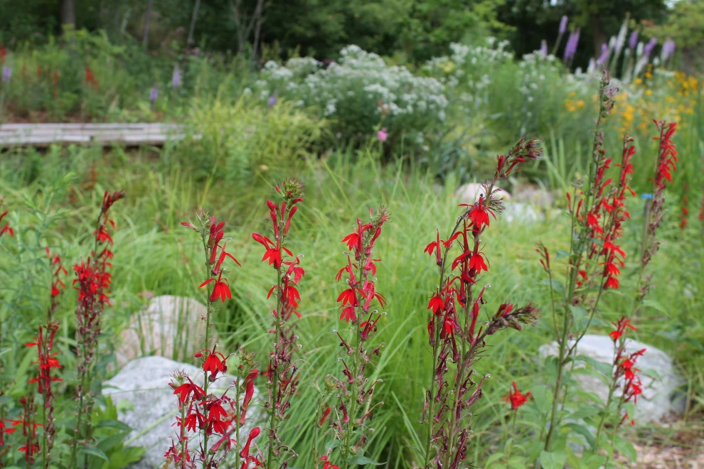 Native Edge LLC - Photo 2