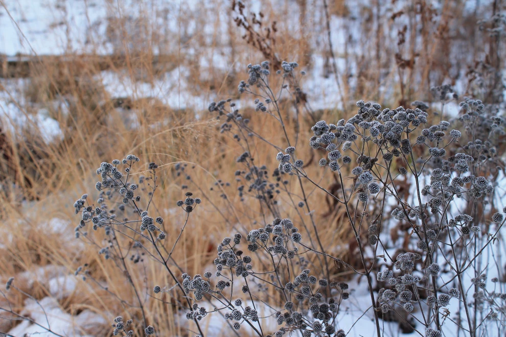Native Edge LLC - Photo 8
