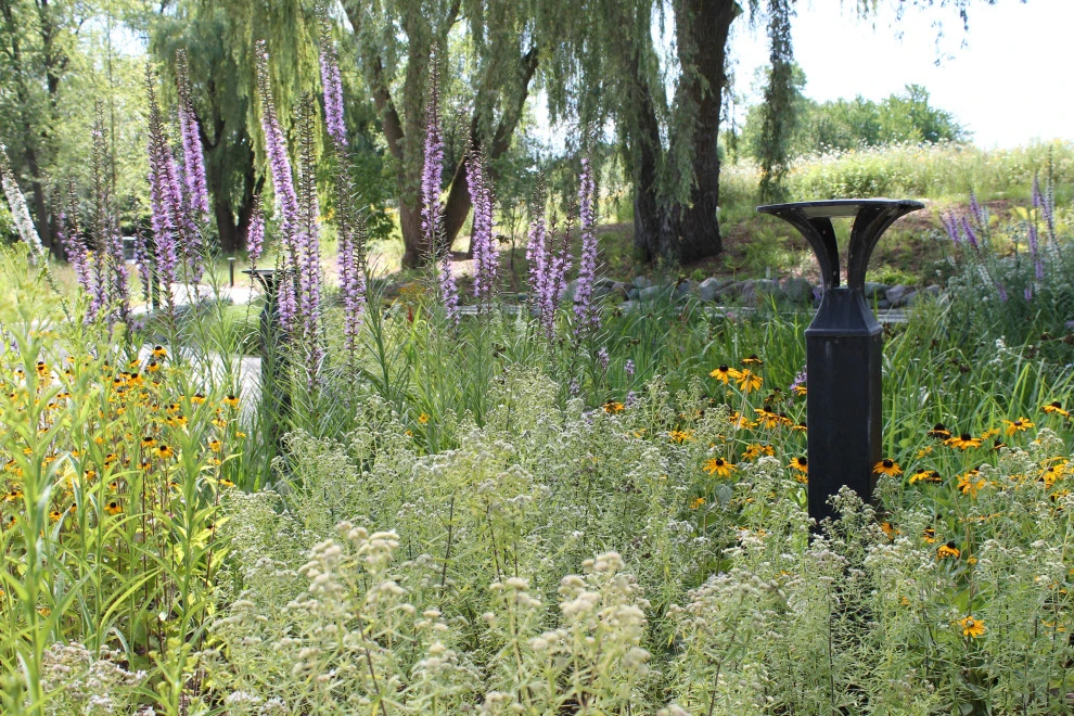 Native Edge LLC - Photo 7