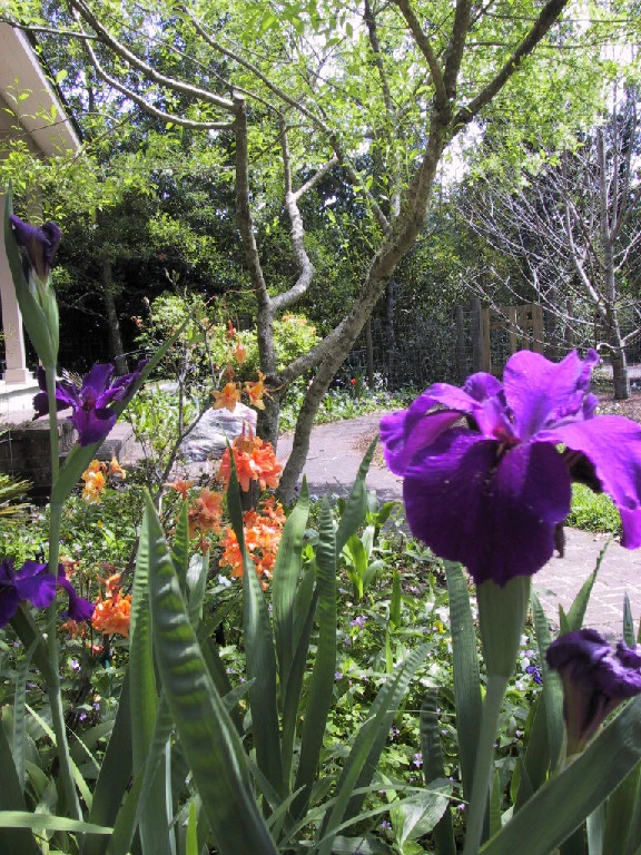 Natives Landscape Corporation - Photo 5