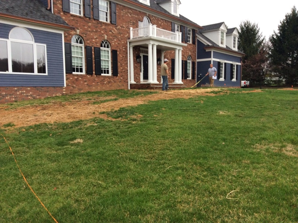 Chester, NJ Front Entryway Makeover by Earth, Turf & Blooms - Photo 6