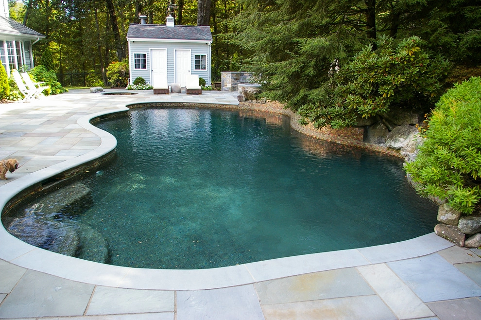 Pool Rehab by A Blade Of Grass - Photo 3