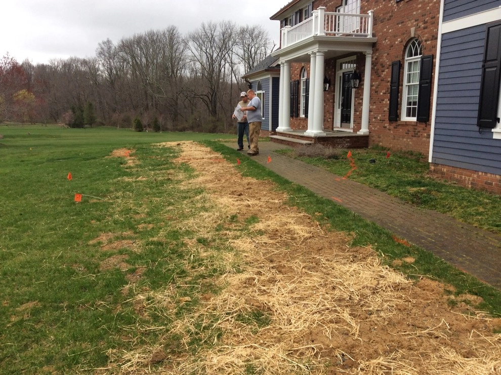 Chester, NJ Front Entryway Makeover by Earth, Turf & Blooms - Photo 2