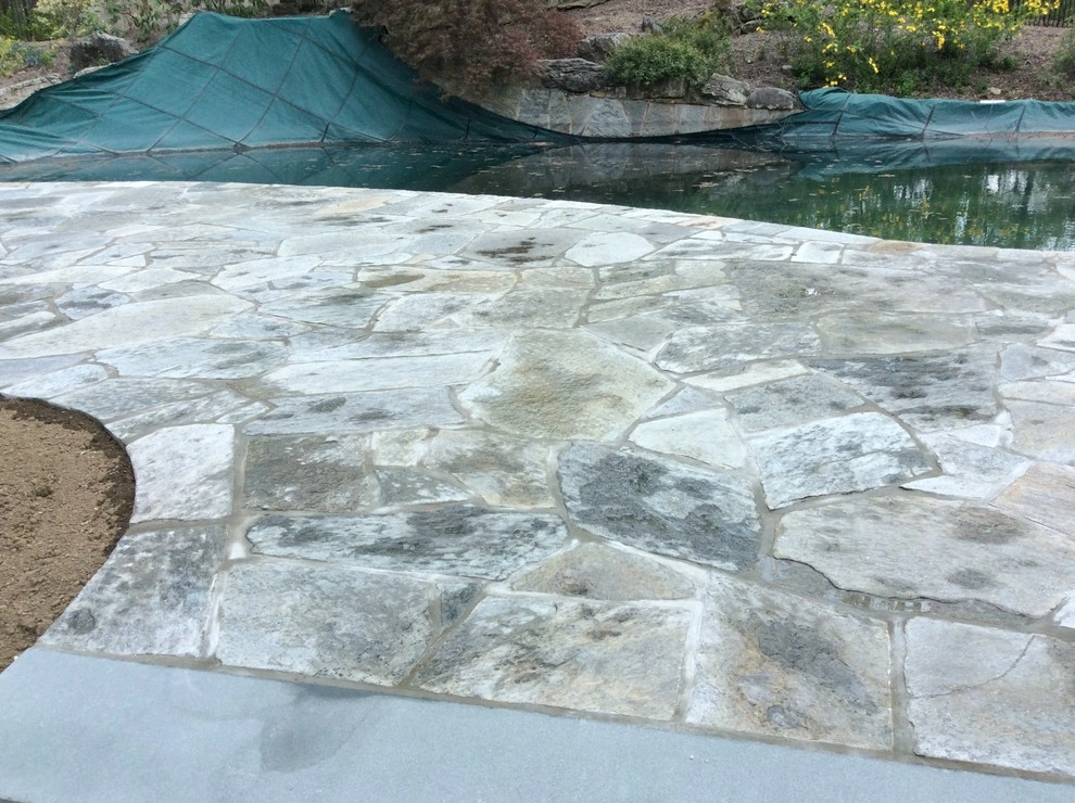 New Pool Deck in time for Summer by Earth, Turf & Blooms - Photo 2