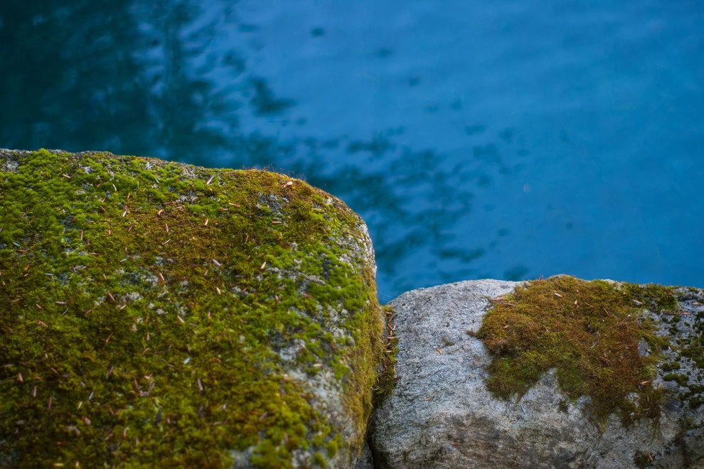 Pool Rehab by A Blade Of Grass - Photo 9