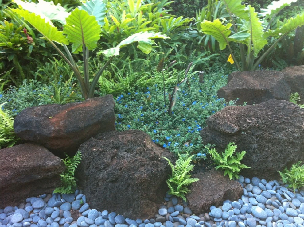 Rock Garden by Lanaiscapes - Photo 2