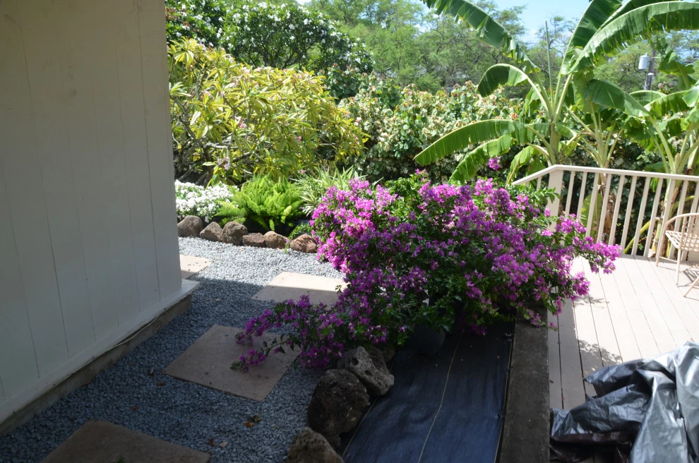 Lush Plants & Stepping Stones by Lanaiscapes - Photo 17