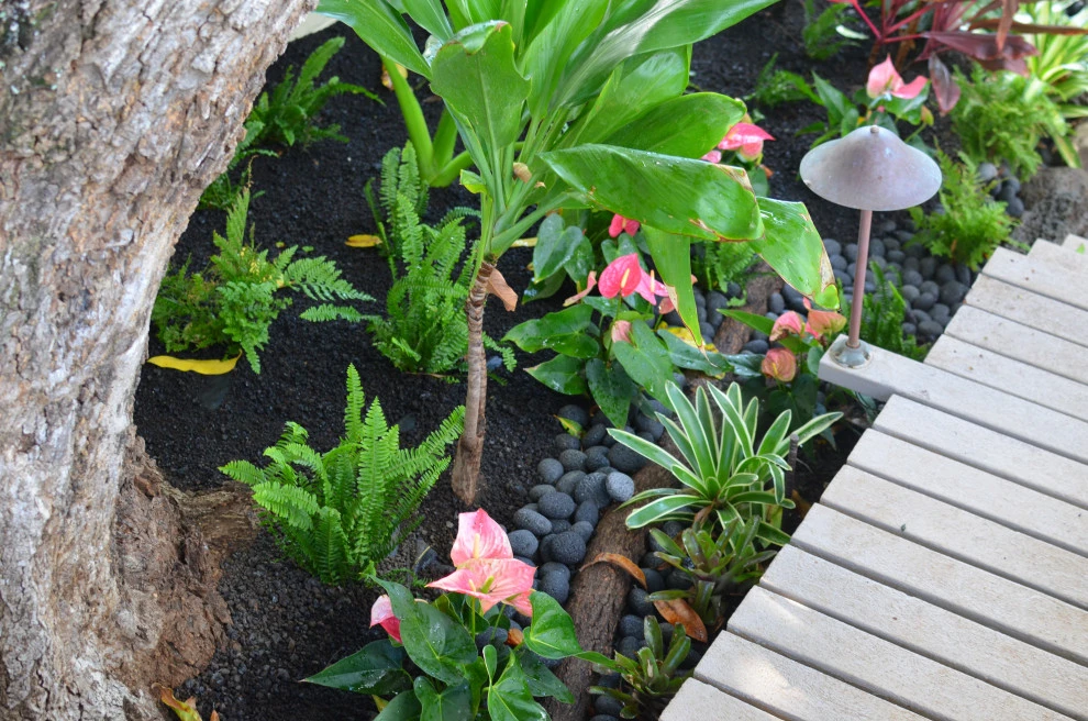 Lush Plants & Stepping Stones by Lanaiscapes - Photo 21