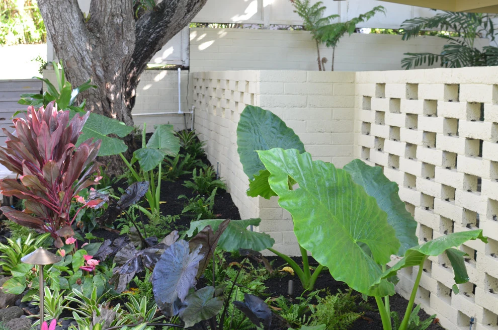 Lush Plants & Stepping Stones by Lanaiscapes - Photo 53