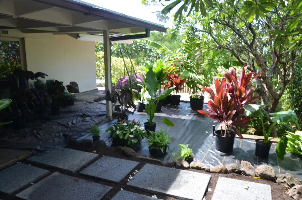 Lush Plants & Stepping Stones by Lanaiscapes - Photo 18