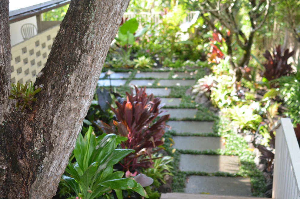 Lush Plants & Stepping Stones by Lanaiscapes - Photo 54