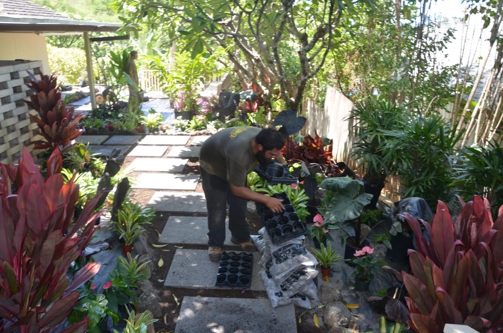 Lush Plants & Stepping Stones by Lanaiscapes - Photo 13