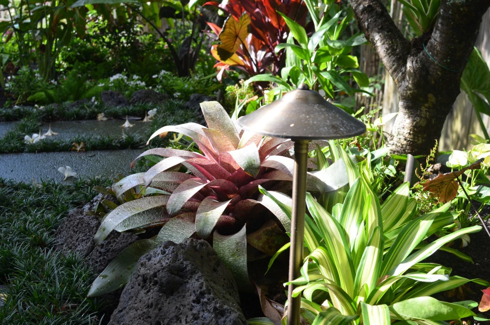 Lush Plants & Stepping Stones by Lanaiscapes - Photo 34
