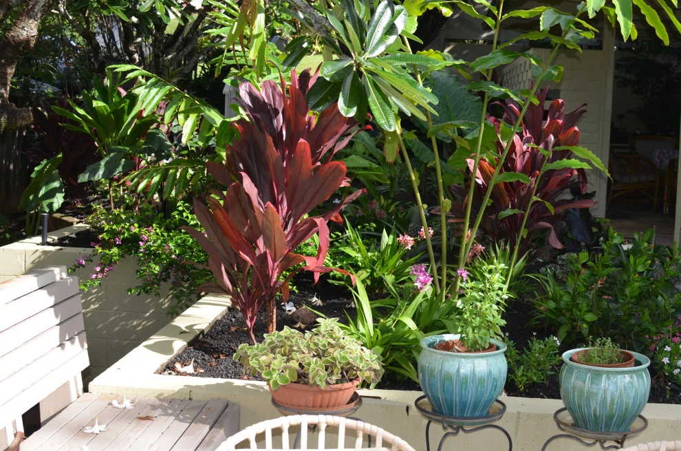 Lush Plants & Stepping Stones by Lanaiscapes - Photo 55