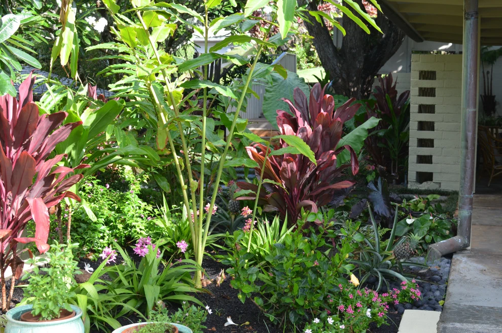 Lush Plants & Stepping Stones by Lanaiscapes - Photo 22