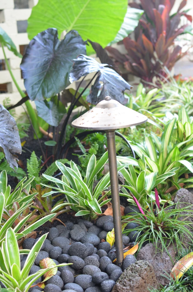 Lush Plants & Stepping Stones by Lanaiscapes - Photo 50