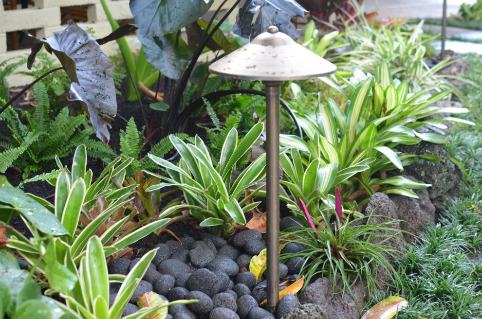 Lush Plants & Stepping Stones by Lanaiscapes - Photo 7