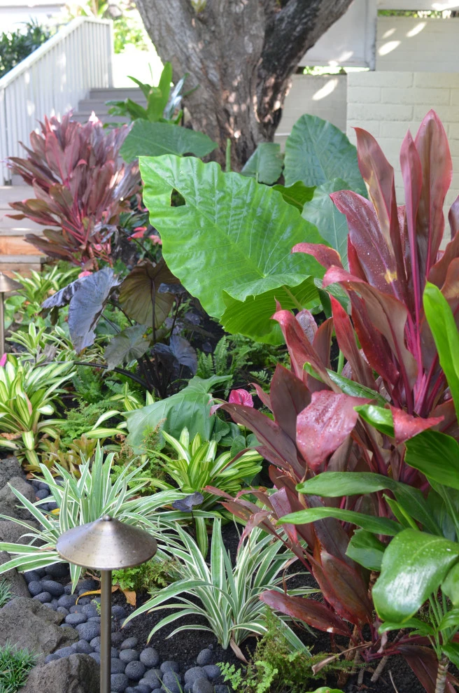 Lush Plants & Stepping Stones by Lanaiscapes - Photo 48