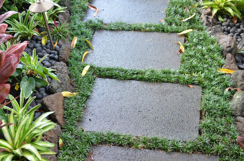 Lush Plants & Stepping Stones by Lanaiscapes - Photo 6
