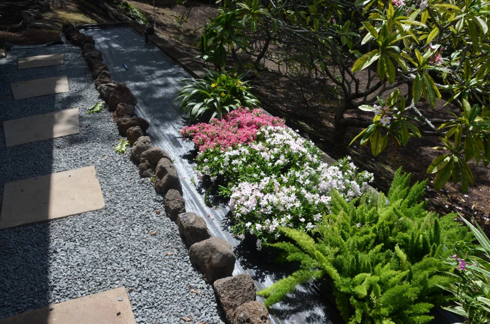 Lush Plants & Stepping Stones by Lanaiscapes - Photo 49