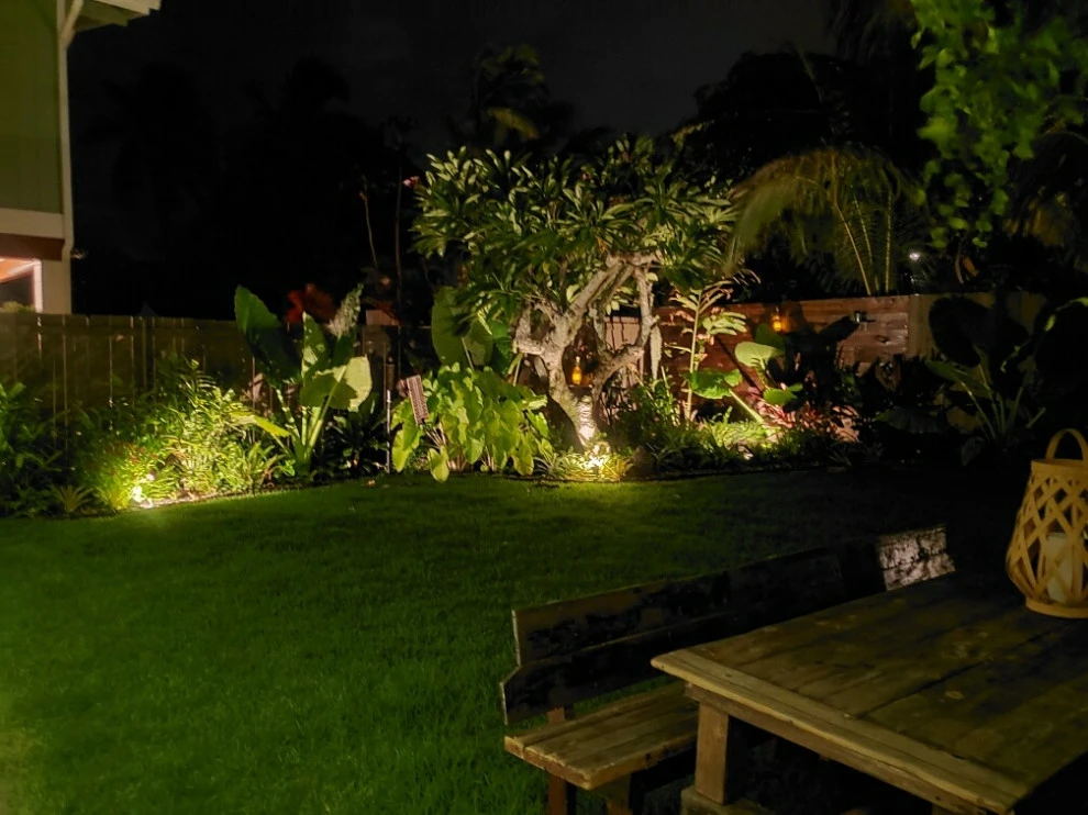 Tropical Landscaping & Lighting by Lanaiscapes - Photo 2
