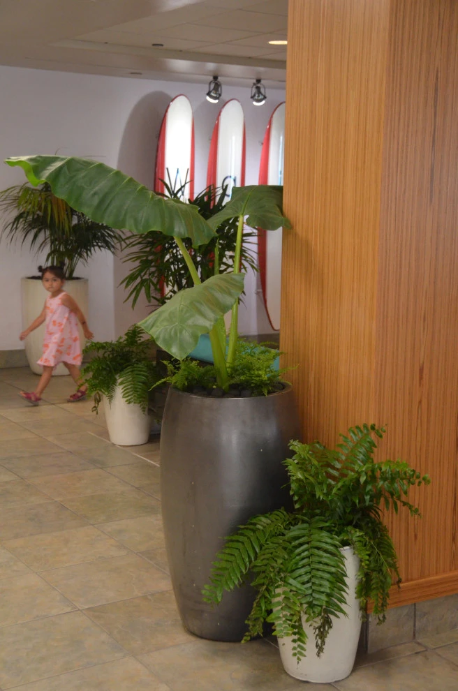 Waikiki Beach Hotel by Lanaiscapes - Photo 27