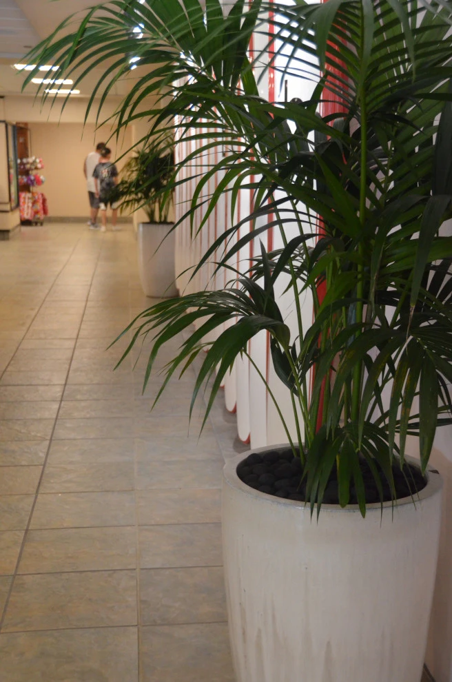 Waikiki Beach Hotel by Lanaiscapes - Photo 22