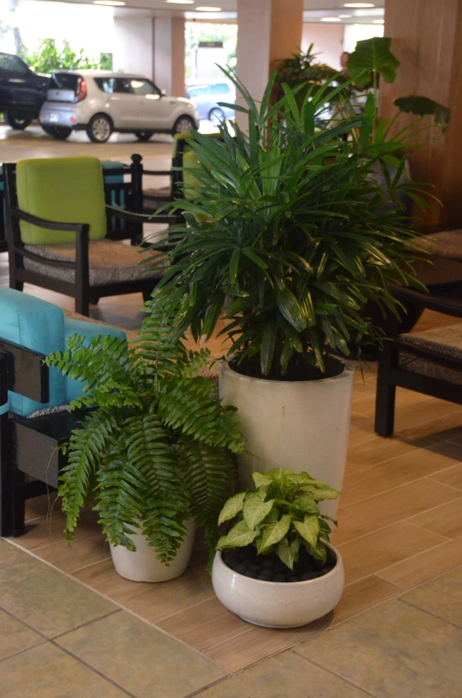 Waikiki Beach Hotel by Lanaiscapes - Photo 29