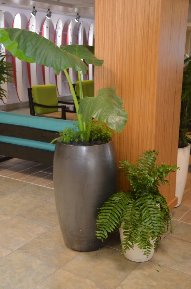 Waikiki Beach Hotel by Lanaiscapes - Photo 9