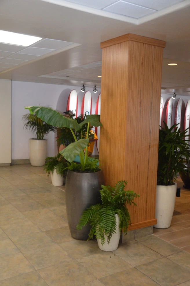 Waikiki Beach Hotel by Lanaiscapes - Photo 35
