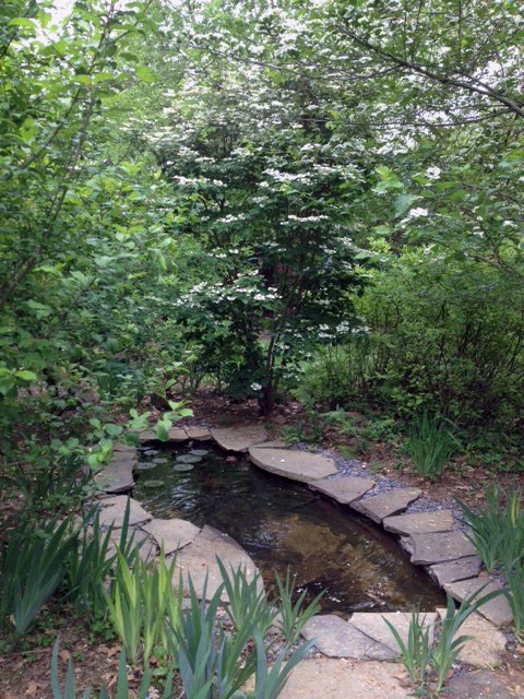 natural pond landscape by Land/arch Landscape Architecture - Photo 3